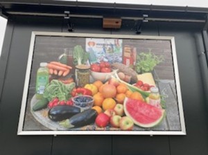 Spandoek